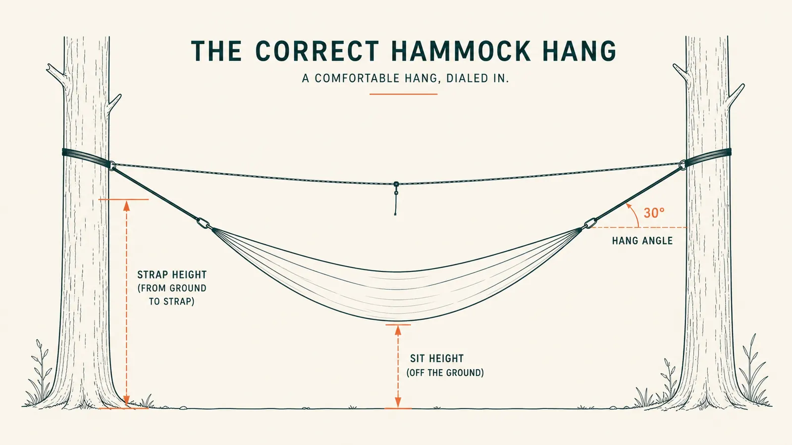 Diagram-style chart showing the correct 30 degree hang angle and sag of a camping hammock between two trees
